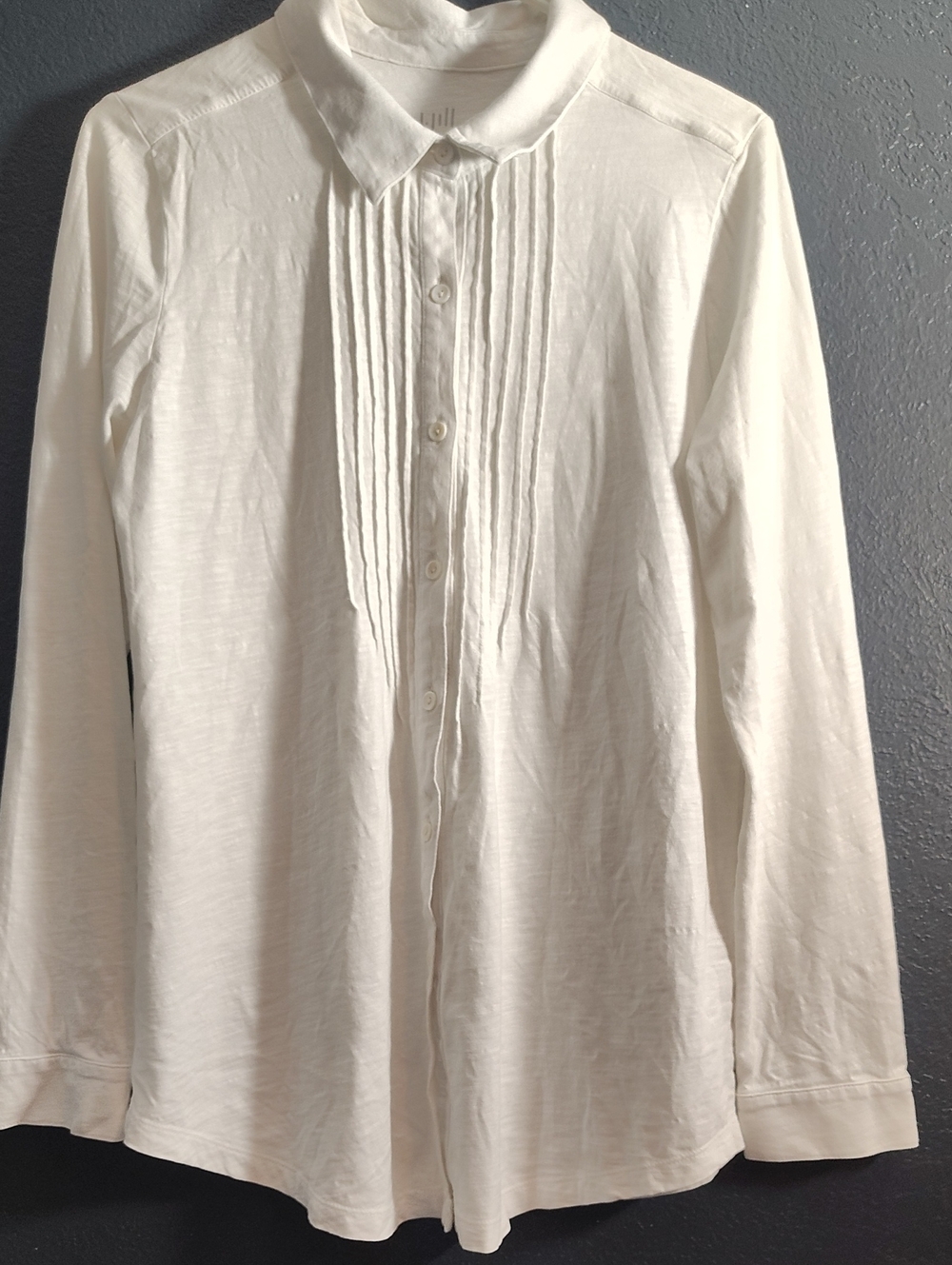 J. Jill Cream Pintuck Front Long-Sleeve Cotton Top Academia Whimsigoth Preppy